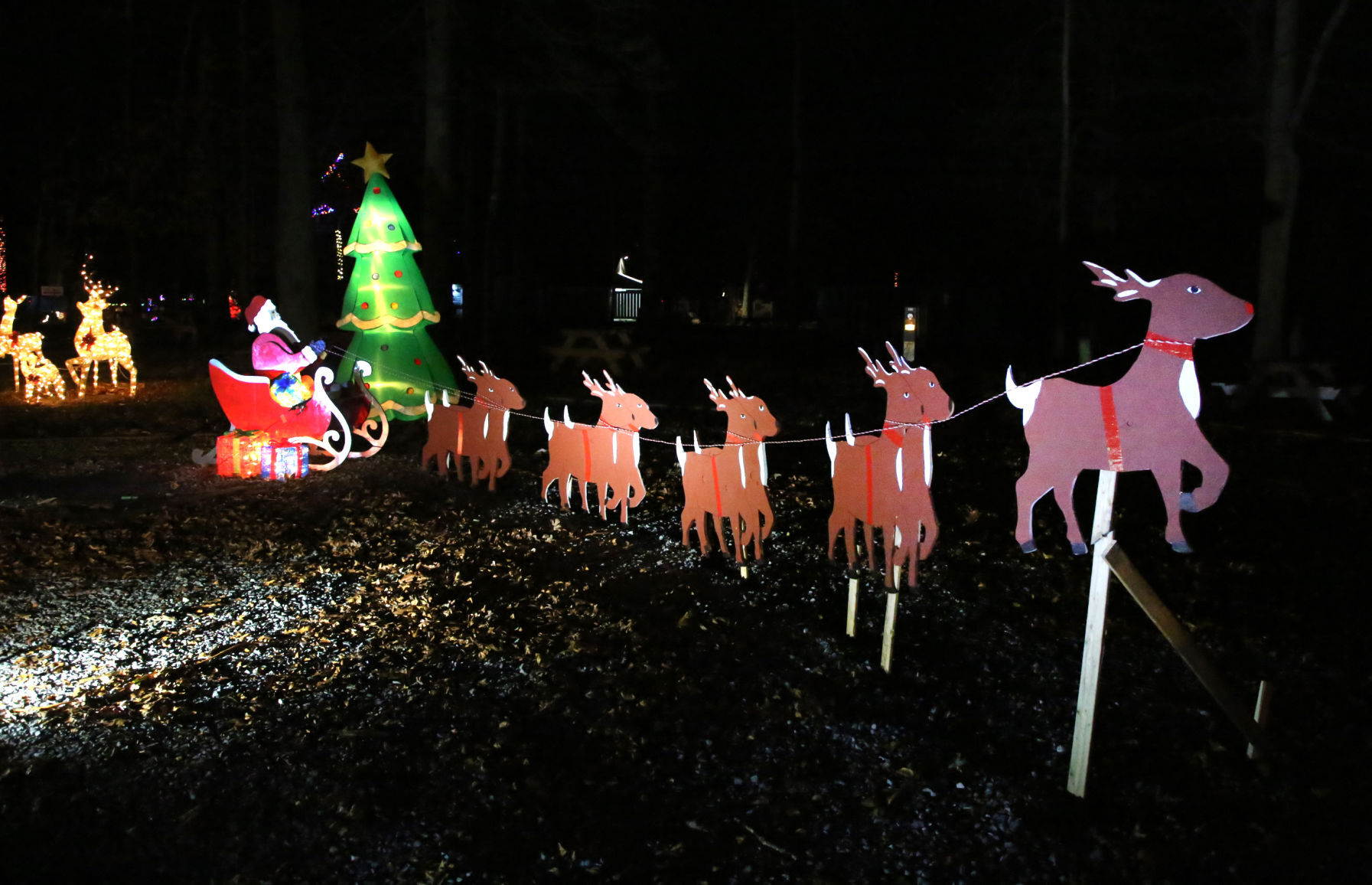 Festival of Lights